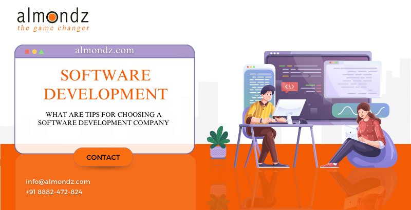 What Are Tips For Choosing A Software Development Company